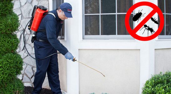 Korkuteli Kemirgen İlaçlama böcek ilaçlama ve haşere kontrolü — ilaclama-tr.com